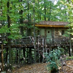 Tree house, Damanhur Sacred Woods